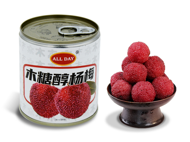 陈字木糖醇杨梅-13.jpg
